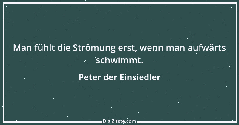 Zitat von Peter der Einsiedler 1