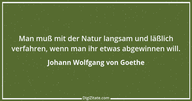 Zitat von Johann Wolfgang von Goethe 1149