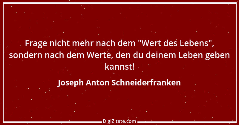 Zitat von Joseph Anton Schneiderfranken 11