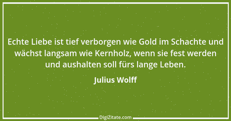 Zitat von Julius Wolff 2