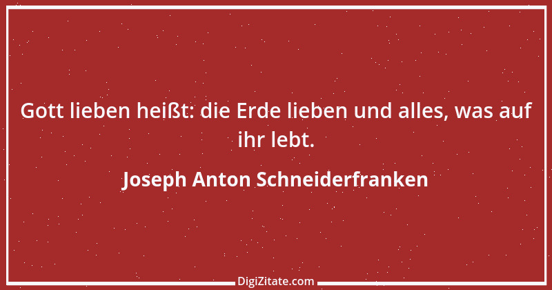 Zitat von Joseph Anton Schneiderfranken 14