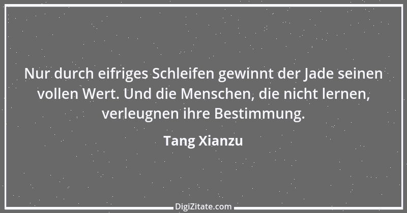 Zitat von Tang Xianzu 3