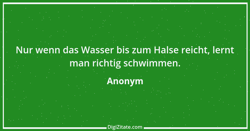 Zitat von Anonym 737