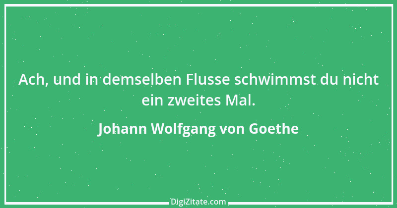 Zitat von Johann Wolfgang von Goethe 3769