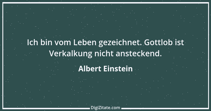 Zitat von Albert Einstein 243