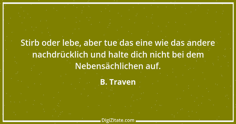 Zitat von B. Traven 253