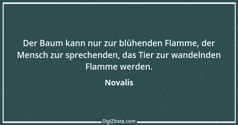 Zitat von Novalis 480