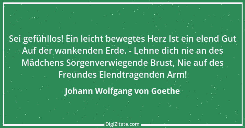 Zitat von Johann Wolfgang von Goethe 157