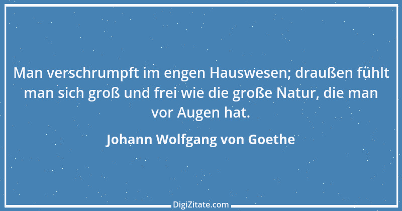 Zitat von Johann Wolfgang von Goethe 1160