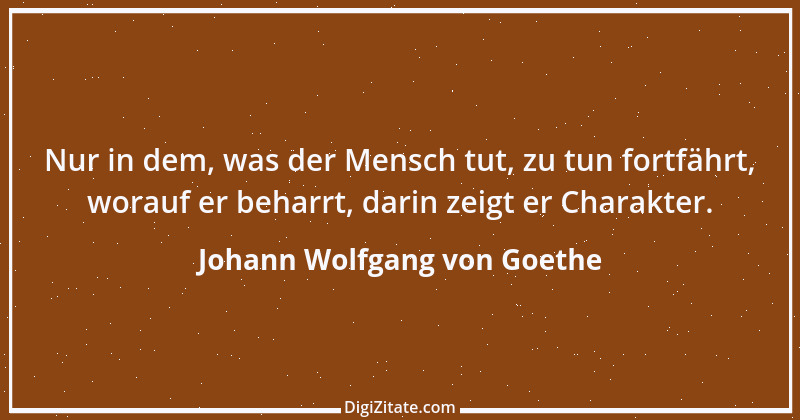 Zitat von Johann Wolfgang von Goethe 4160