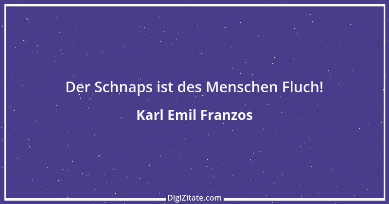 Zitat von Karl Emil Franzos 17