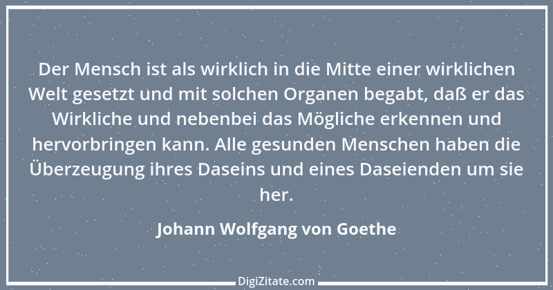 Zitat von Johann Wolfgang von Goethe 4161