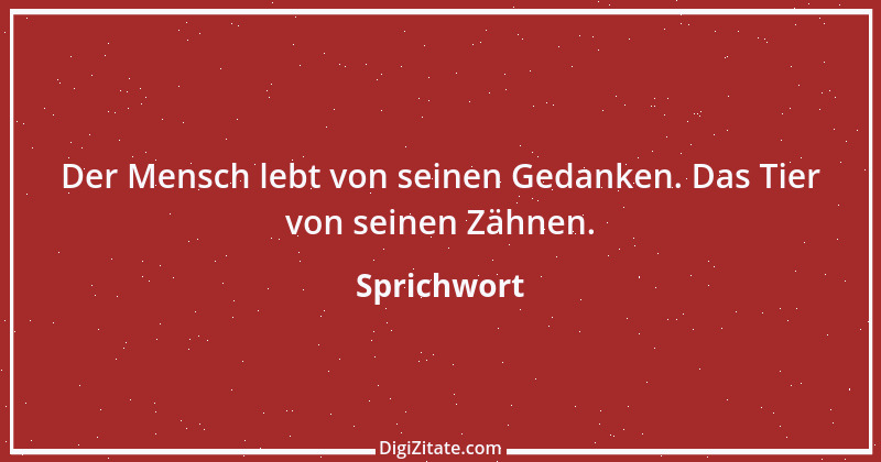 Zitat von Sprichwort 1153