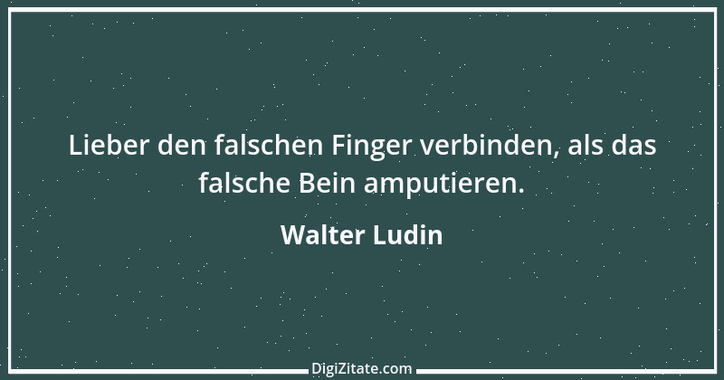 Zitat von Walter Ludin 663