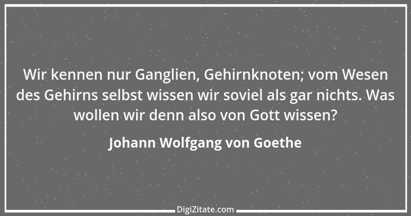 Zitat von Johann Wolfgang von Goethe 1162