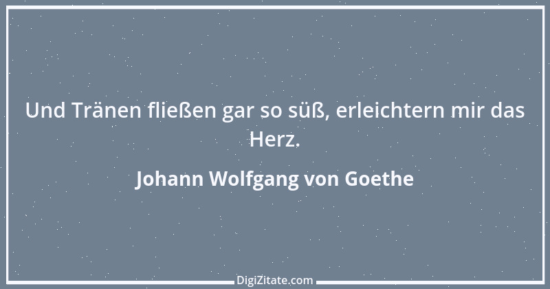 Zitat von Johann Wolfgang von Goethe 4162