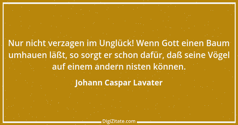 Zitat von Johann Caspar Lavater 133