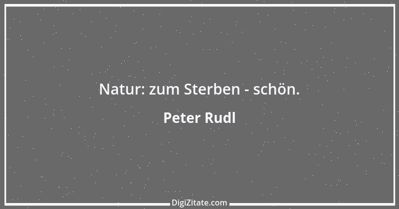 Zitat von Peter Rudl 1437