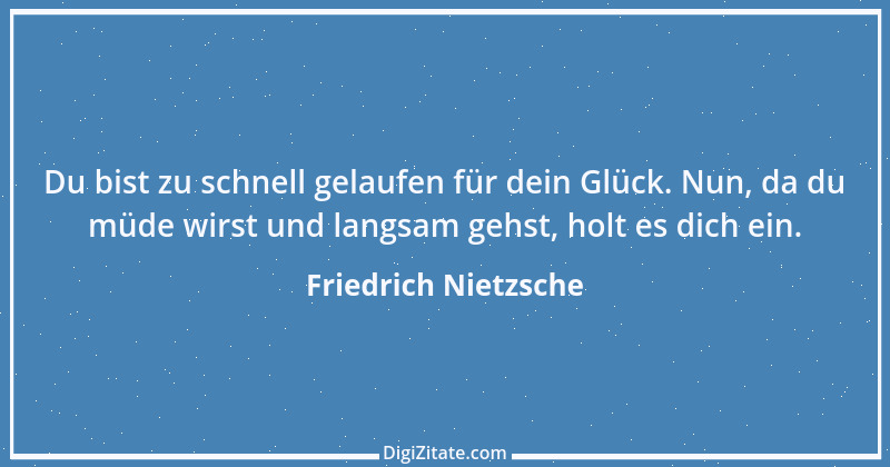 Zitat von Friedrich Nietzsche 1101