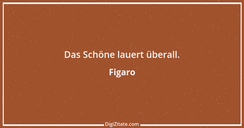 Zitat von Figaro 1