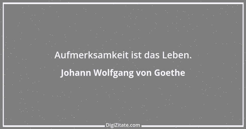 Zitat von Johann Wolfgang von Goethe 3770