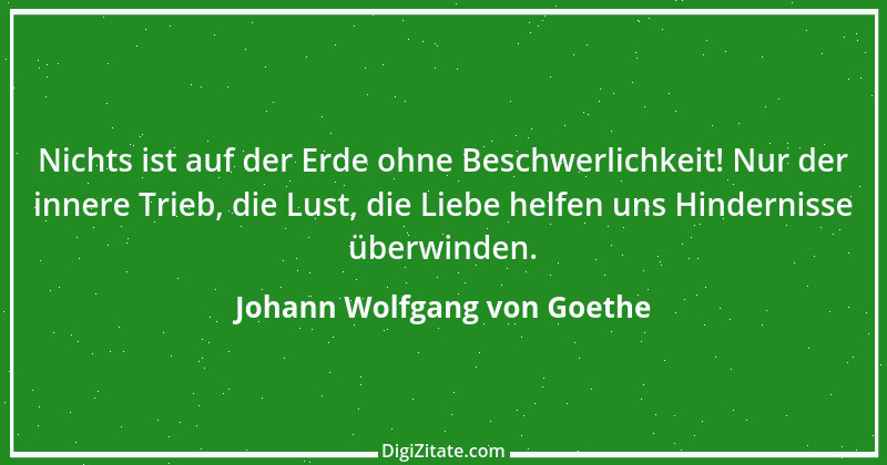 Zitat von Johann Wolfgang von Goethe 1166