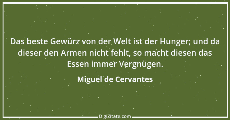 Zitat von Miguel de Cervantes 97