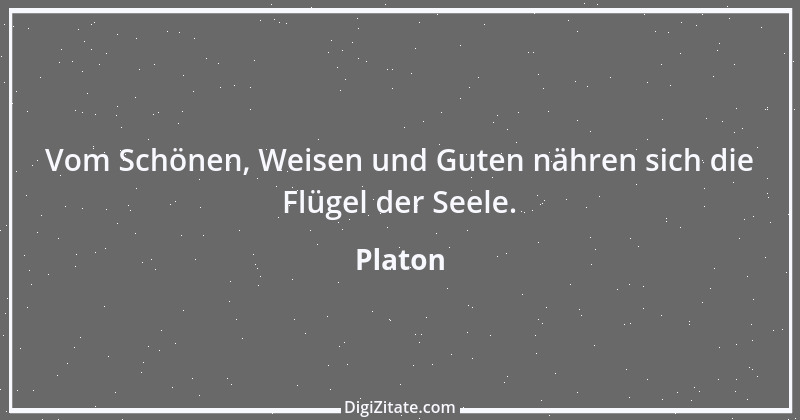 Zitat von Platon 202