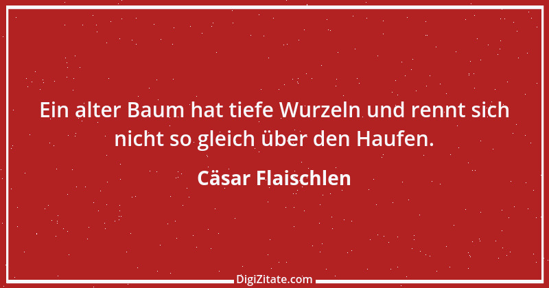 Zitat von Cäsar Flaischlen 27