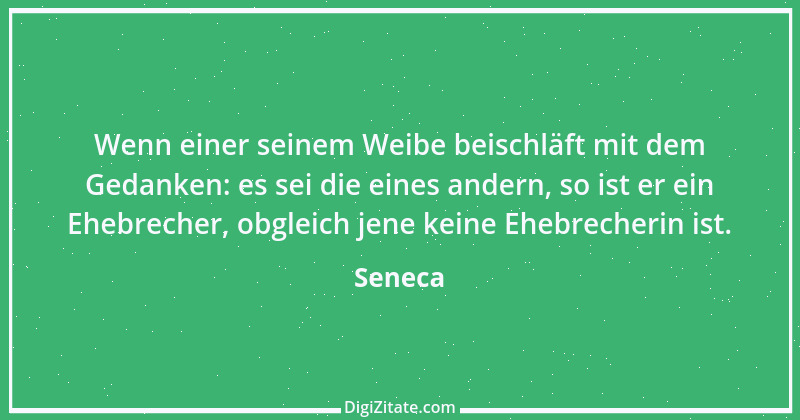 Zitat von Seneca 304