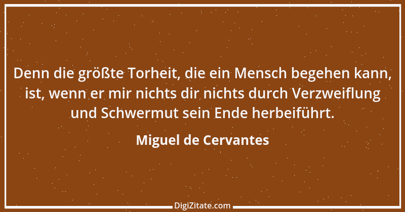 Zitat von Miguel de Cervantes 103