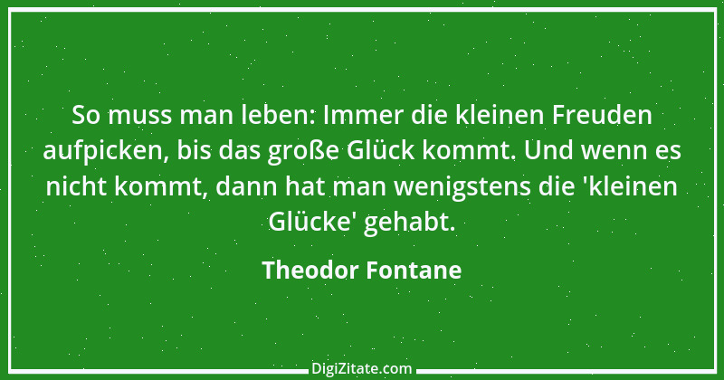 Zitat von Theodor Fontane 434