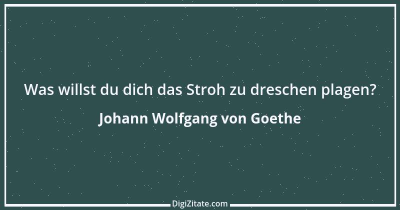 Zitat von Johann Wolfgang von Goethe 1173