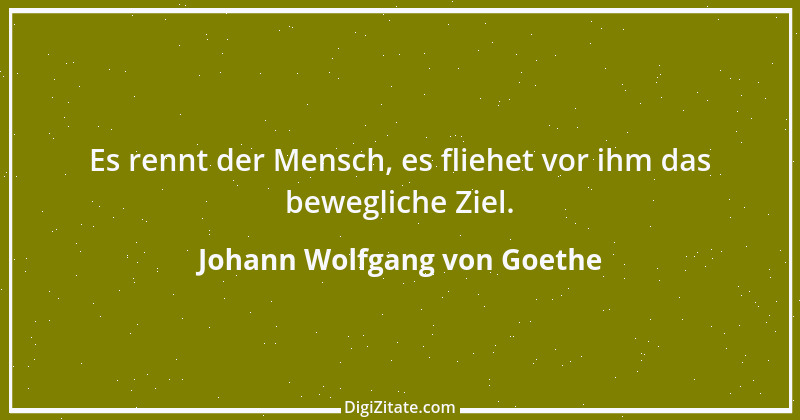 Zitat von Johann Wolfgang von Goethe 173