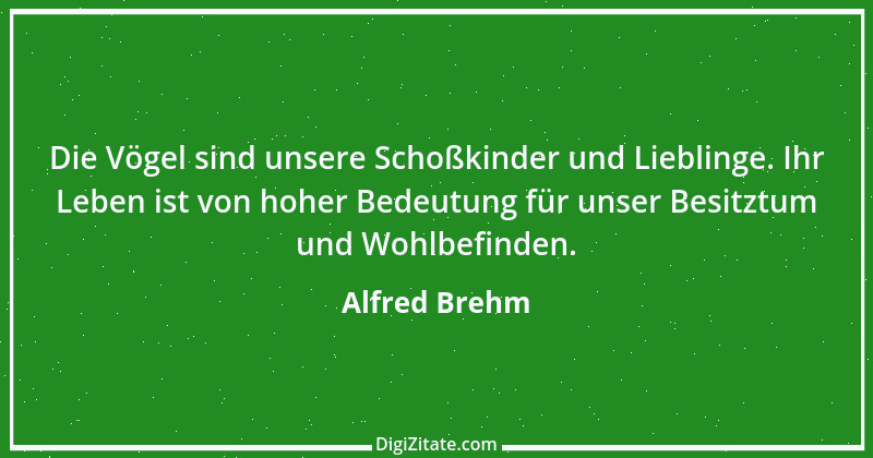 Zitat von Alfred Brehm 16