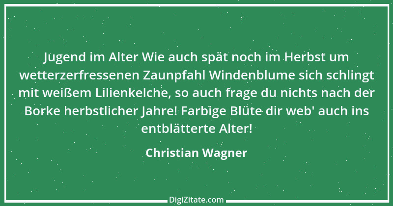 Zitat von Christian Wagner 2