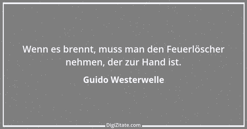 Zitat von Guido Westerwelle 99