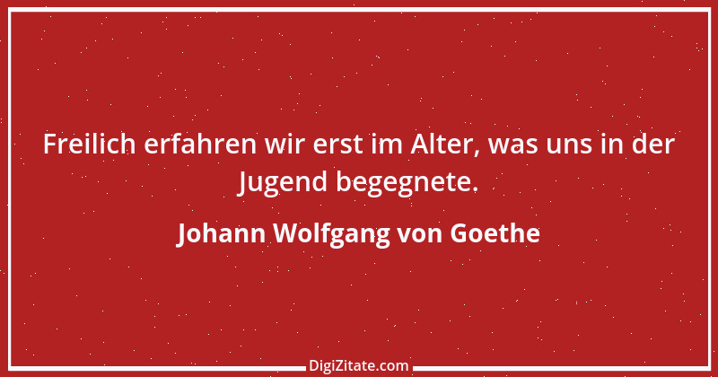 Zitat von Johann Wolfgang von Goethe 771