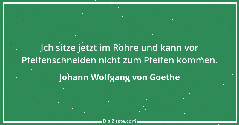 Zitat von Johann Wolfgang von Goethe 2176