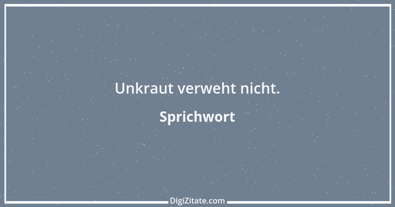 Zitat von Sprichwort 7168