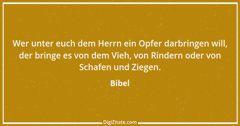 Zitat von Bibel 212