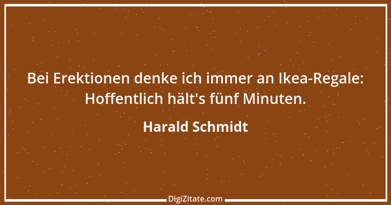 Zitat von Harald Schmidt 496