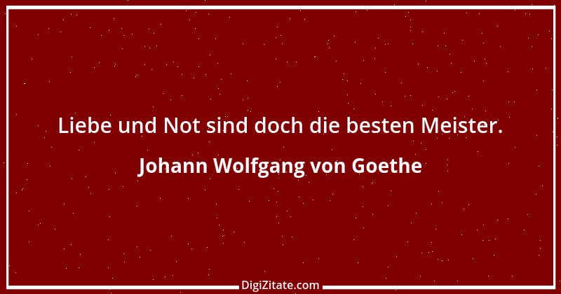 Zitat von Johann Wolfgang von Goethe 2179