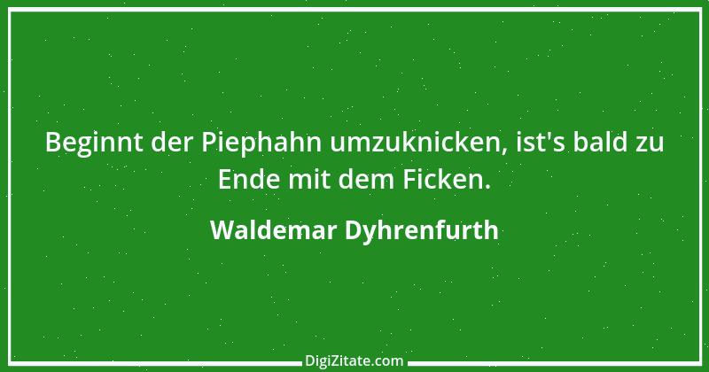 Zitat von Waldemar Dyhrenfurth 17