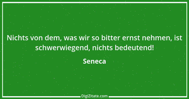 Zitat von Seneca 316