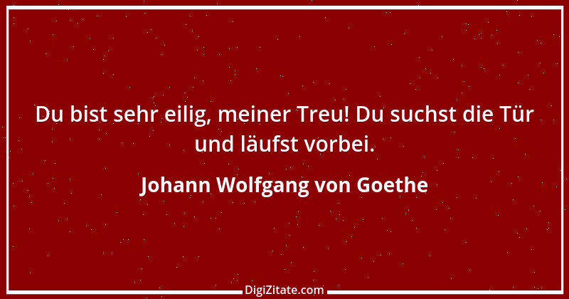 Zitat von Johann Wolfgang von Goethe 2181