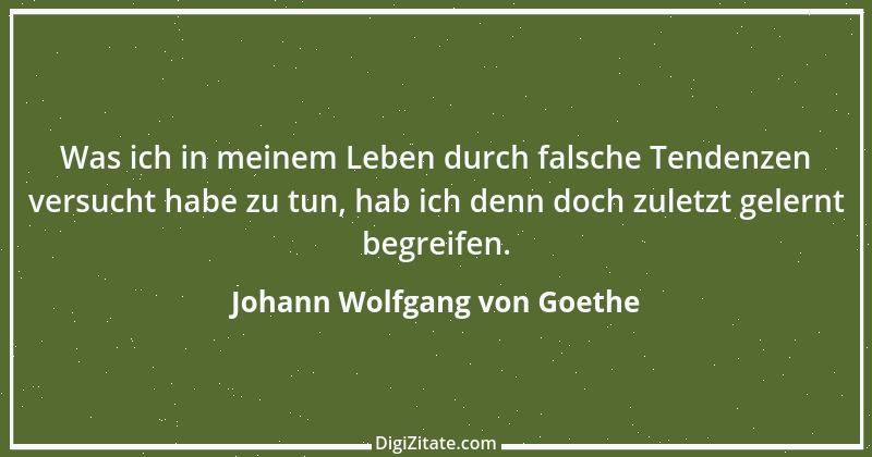 Zitat von Johann Wolfgang von Goethe 4181