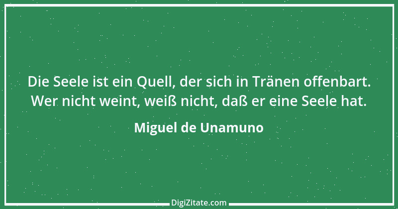 Zitat von Miguel de Unamuno 7