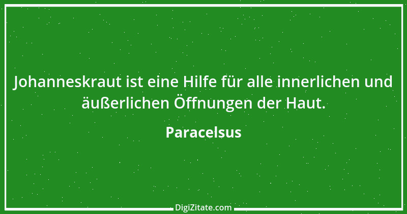 Zitat von Paracelsus 65