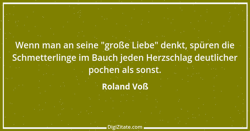 Zitat von Roland Voß 16